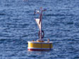 Sensor deployed on a buoy at the sediment remediation construction site.