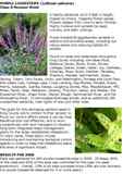 2008_Purple_Loosestrife_in_King_County_Page_1