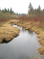 Patterson Creek, Snoqualmie Watershed