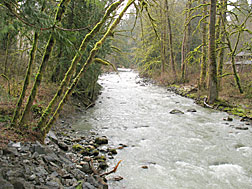 Raging River, Snoqualmie Watershed