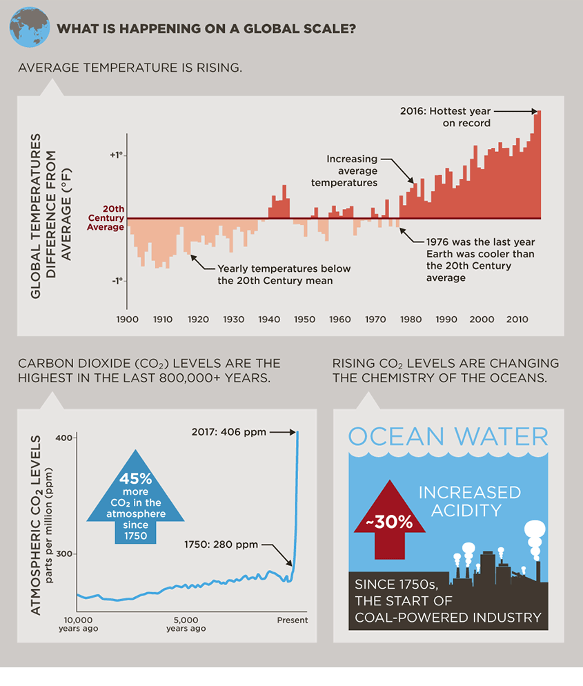 Climate change infographic - King County