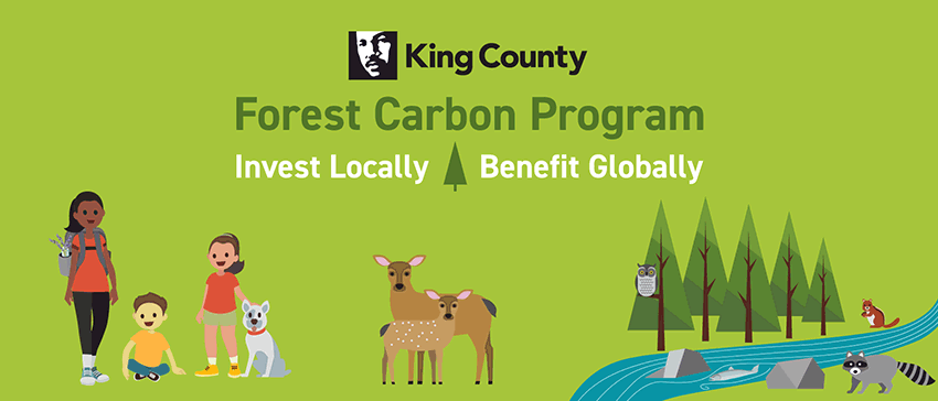 Local forest carbon supports land conservation, new parks and greenspaces