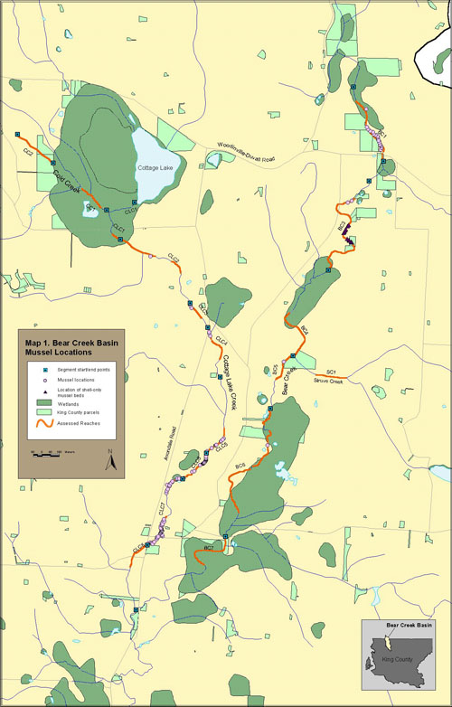 Mussel locations in the Bear Creek Basin