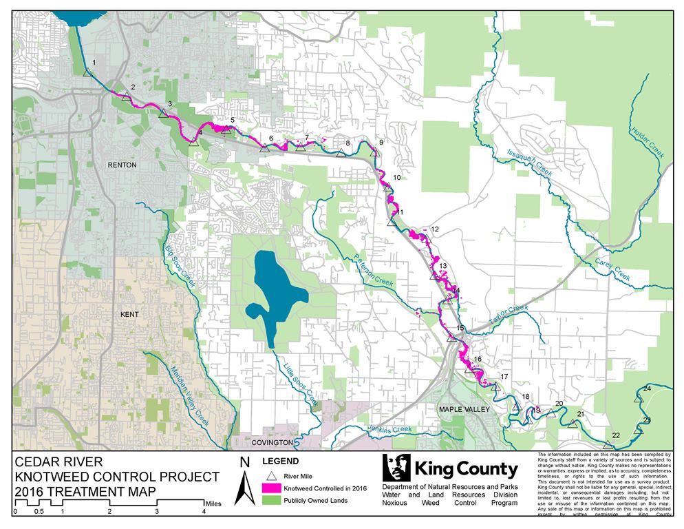Map of the Cedar River Knotweed Control Project
