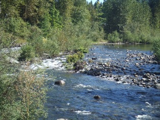 Middle Fork Snoqualmie River - click for information on knotweed control project