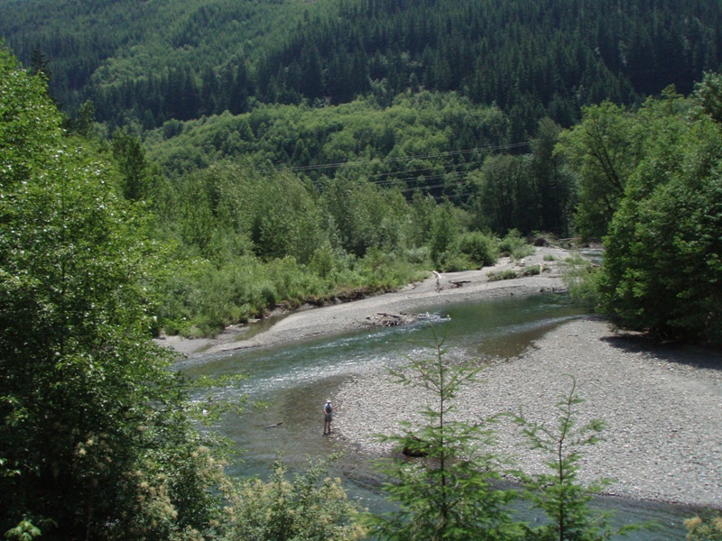 Skykomish_MP53_successful_control_and_natural_revegation_July2007