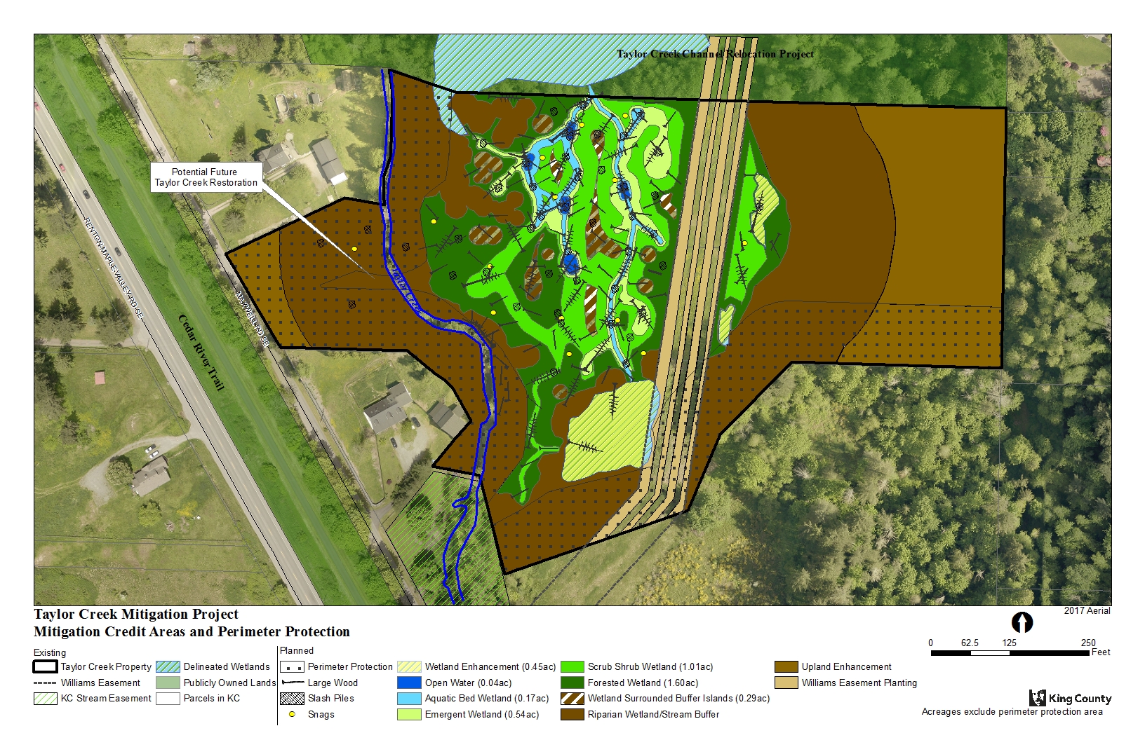 Diagram of proposed project for Taylor Creek Mitigation Site