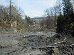 A view of the slide taken from where the Cedar River used to be. The river is still visible in the distance, but the forground is a mess of trees and mud.