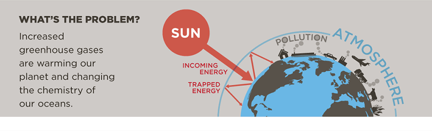 What’s the problem? Increased greenhouse gases are warming our planet, which significantly impacts our region.