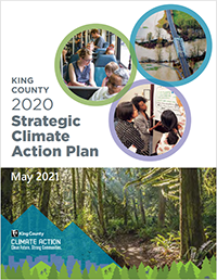 2020 Strategic Climate Action Plan
