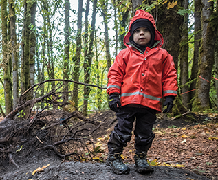 Forest Carbon Program